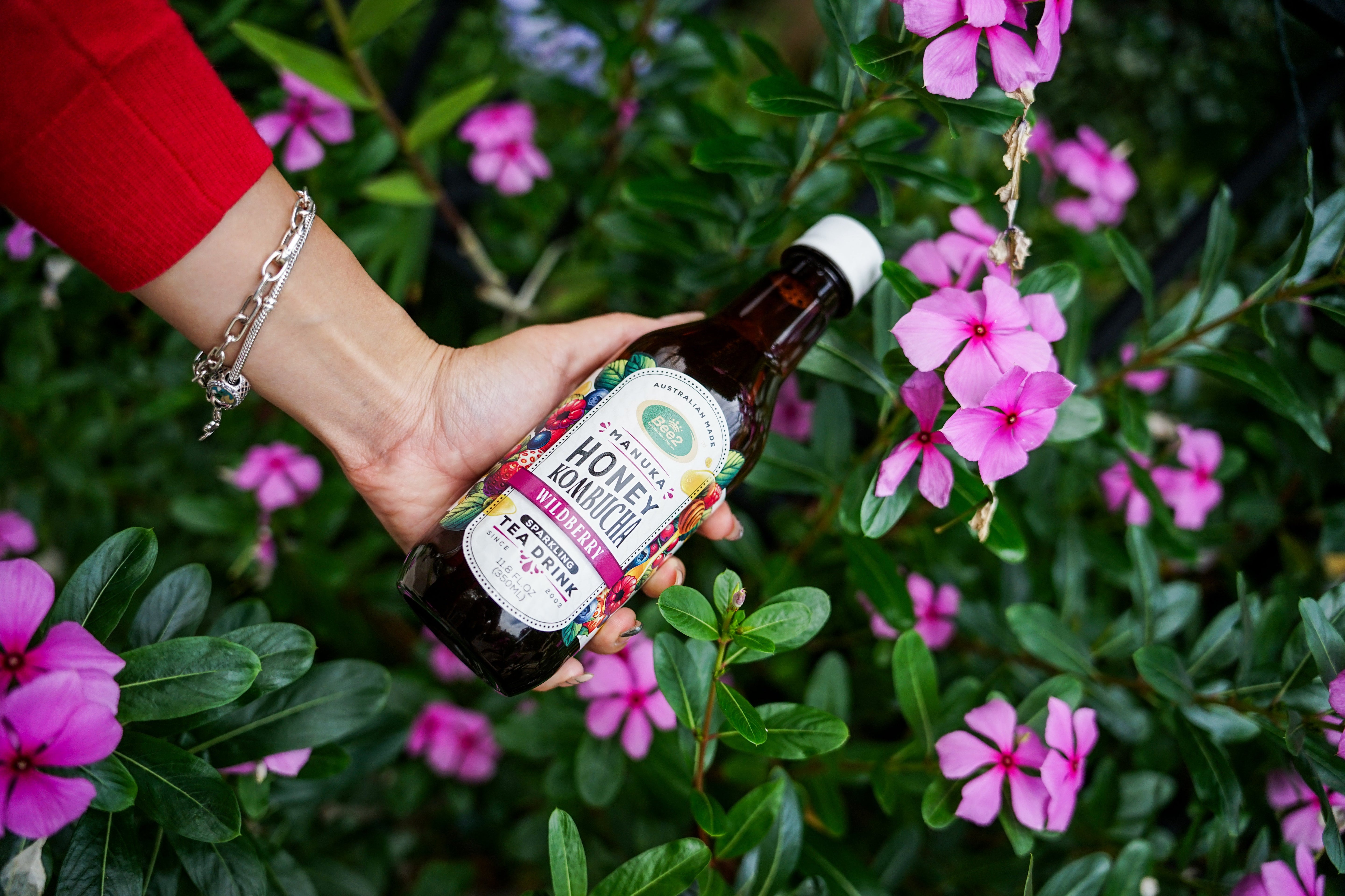 Bee2 Manuka Honey Kombucha (12 Bottles)